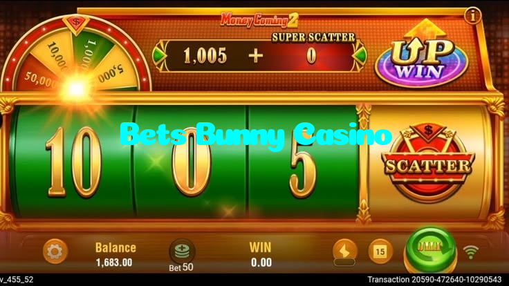 available types of Bets Bunny Casino bet including pre-match live express and system bets